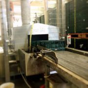 logistica-food-2