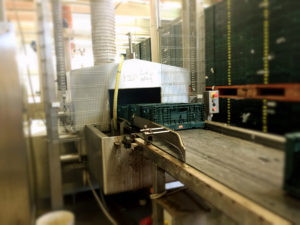 Generale Servizi - Firenze - Logistica food