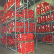 Generale Servizi - Firenze - Logistica