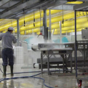 Generale Servizi - Firenze - Pulizie e Sanificazioni